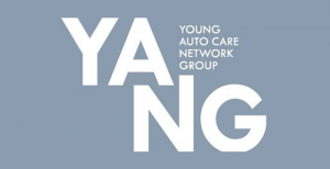 YANG - Network Group - Logo
