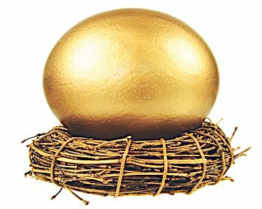 nest-egg