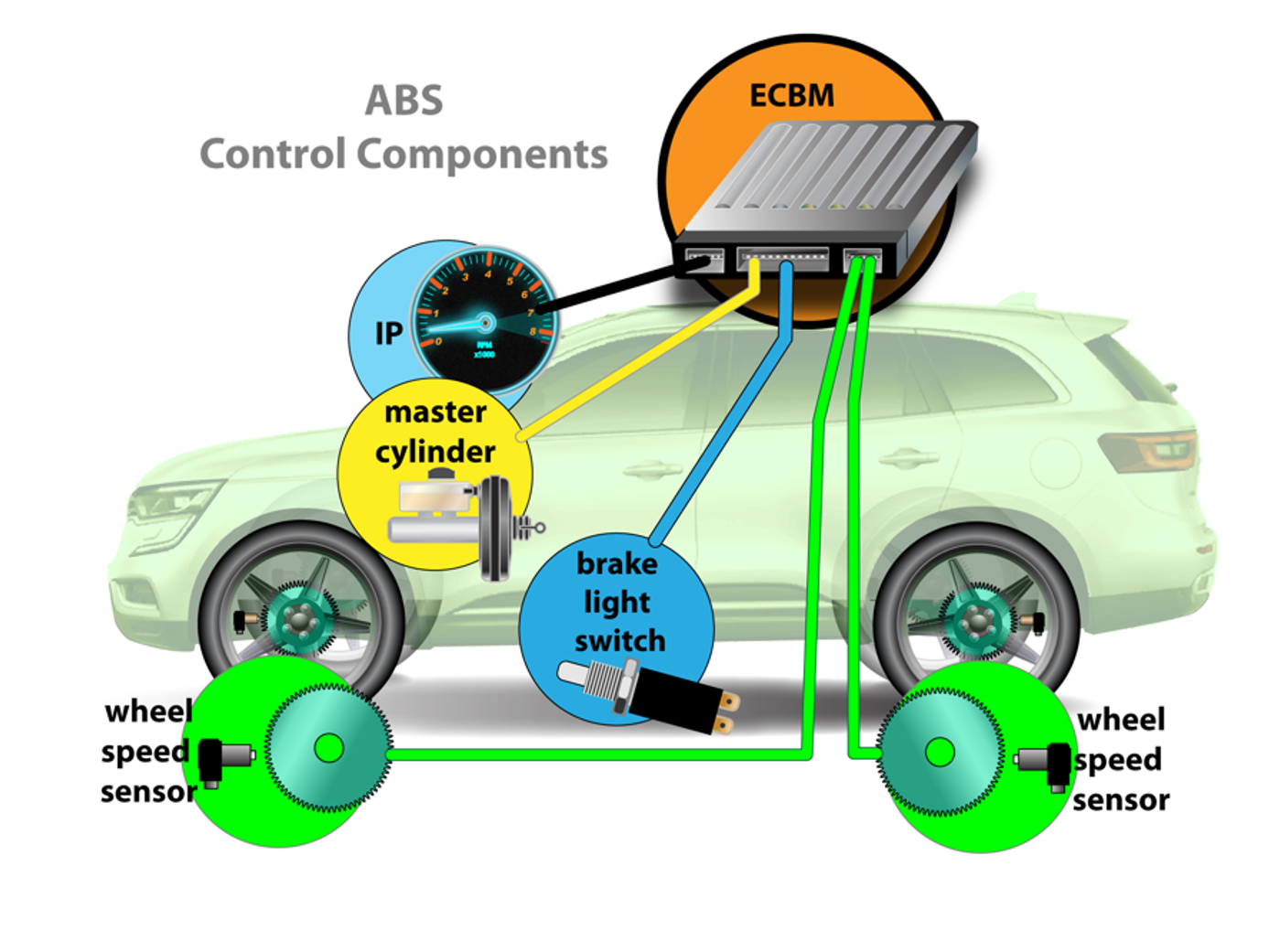 Abs Wheel Speed Sensor Tone Ring. Indicator - Front, Rear.